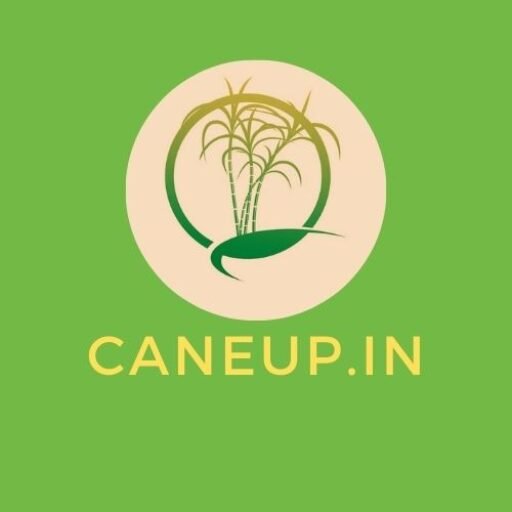 CANEUP.IN