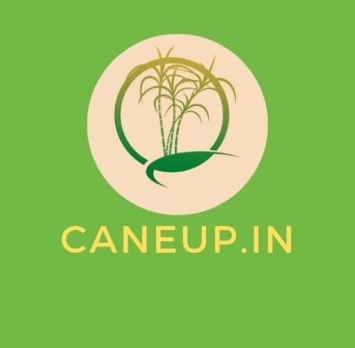 cane up in