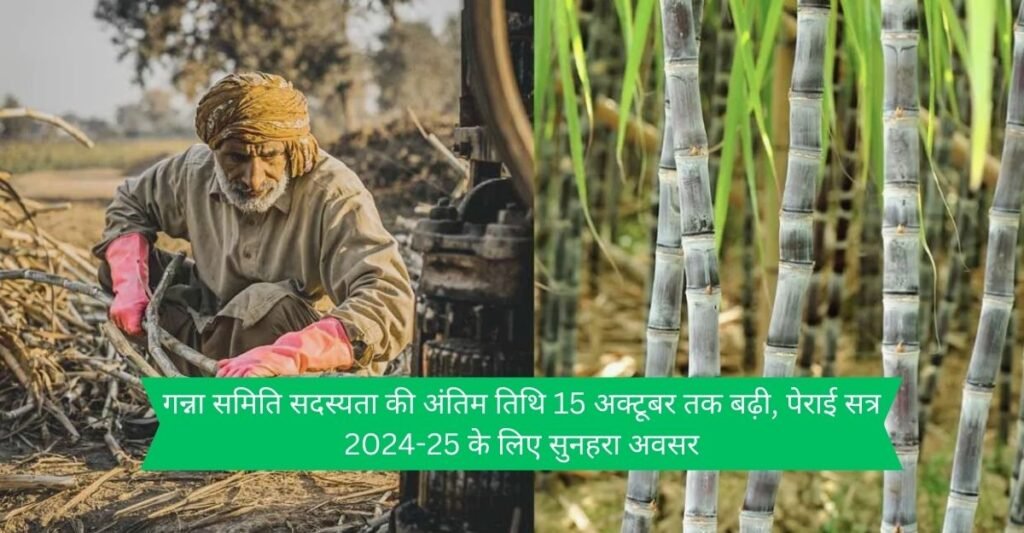 Sugarcane News