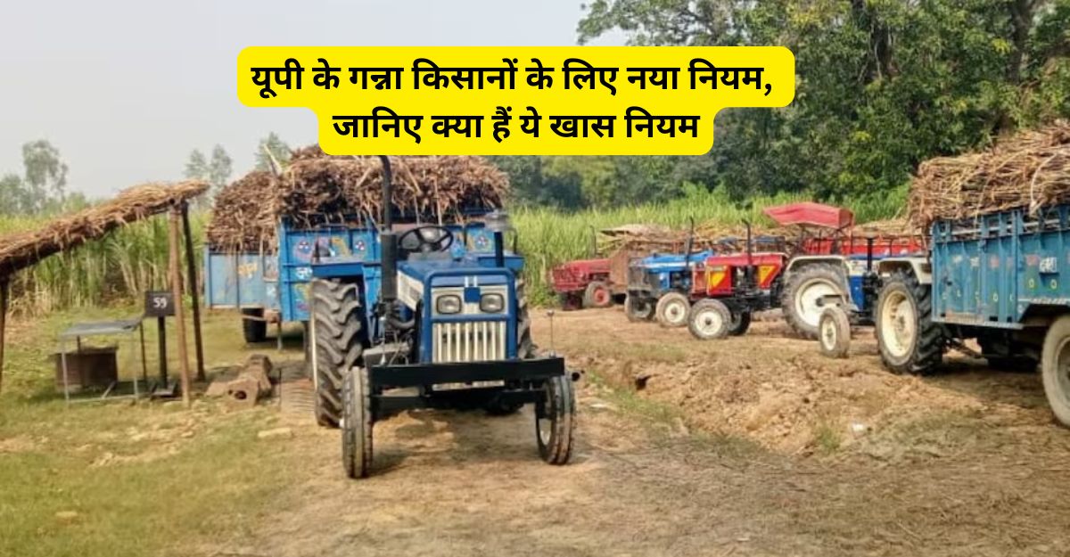 kisan news